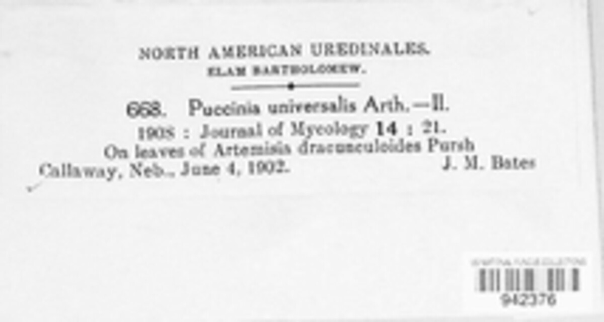 Puccinia universalis image